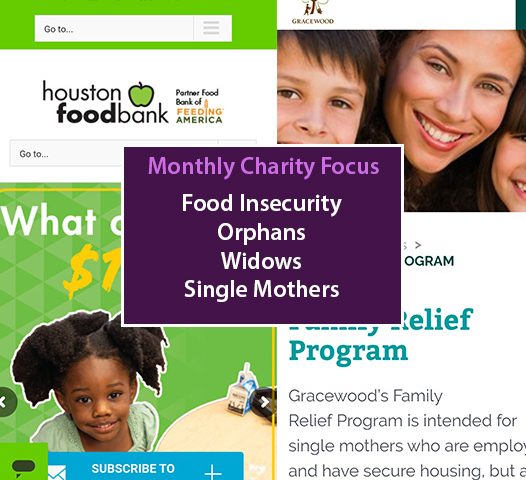 January 2026 Charity Focus